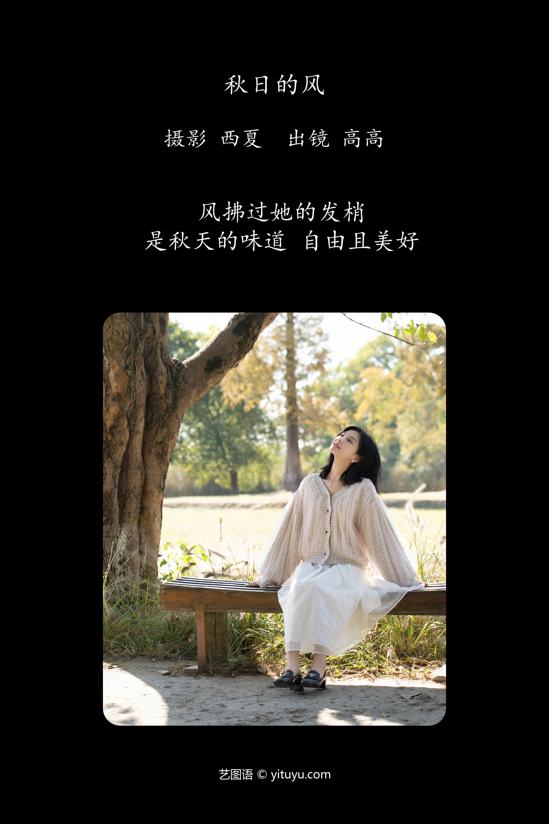 [YITUYU艺图语]2023.12.12 秋日的风 高高 1